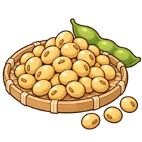 大豆