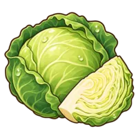 キャベツ