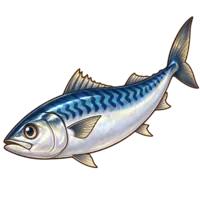 青魚